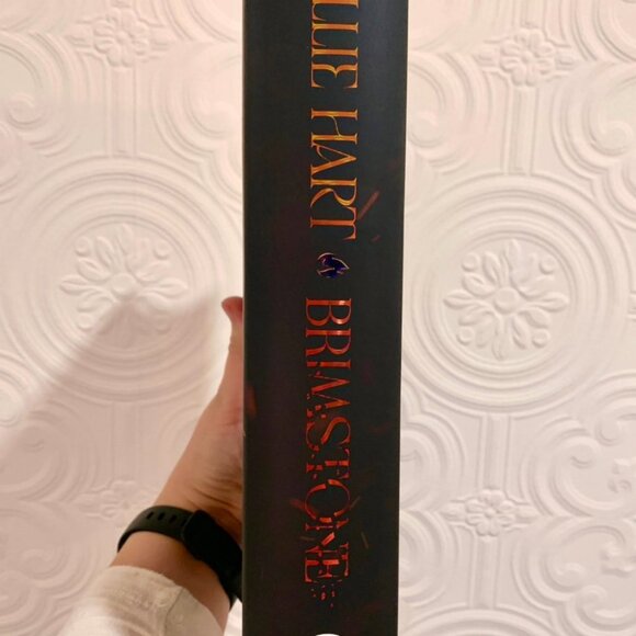 Waterstones SIGNED Exclusive edition of Brimstone special edition book - Picture 3 of 5